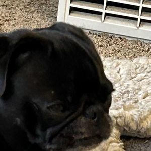 Meet your Posher, Margaret